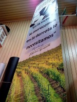 /album/pendones-roller-y-pizarras1/a18892965-302660013519336-2254257774039192967-n-jpg/